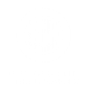 Office of Homeland Security and Emergency Preparedness Icon